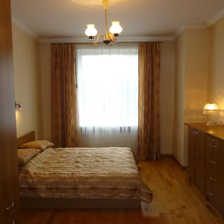 Central Riepnieku Street Apartment